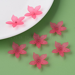 Прозрачные акриловые бусины MACR-S373-127-D01