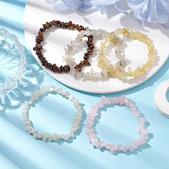 12つの星座天然混合宝石チップビーズストレッチブレスレットセット女性男性用  レオ  内径：2-1/8インチ（5.5cm）  5個/セット&nbsp;BJEW-JB10264-07