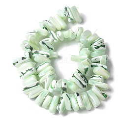 Окрашенные нити натуральных бусин-ракушек трохуса&nbsp;SSHEL-C013-09I