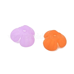 Embouts de perles acryliques dépolis&nbsp;AC-CBA81FF-09