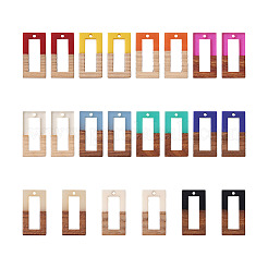 22шт 11 цвета подвески из смолы и ореха&nbsp;RESI-BT0001-10