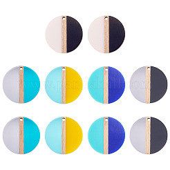 10 шт. подвески из прозрачной и непрозрачной смолы и дерева 5 цветов&nbsp;RESI-TA0004-67