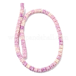 Нити резных бусин синтетического коралла&nbsp;SHEL-G023-01B