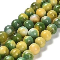 Окрашенные естественный агат бисер пряди G-G203-09G-10mm