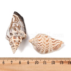 Натуральные раковины бисера&nbsp;X-BSHE-O007-57