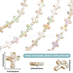 Нити строковые бусины из натуральных пресноводных ракушек BSHE-PA0001-01