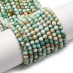 Бусы натуральная перуанская бирюза (яшма) G-A276-C13-3mm