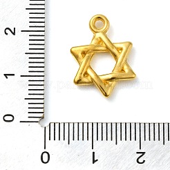 Ионное покрытие (ip) подвески из нержавеющей стали 304&nbsp;STAS-M070-14G