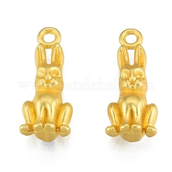 Подвески из сплава  FIND-G035-05MG