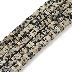 Природные яшмы далматин бисер нитей G-I394-A03