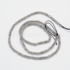 Labradorite naturale fili di perline&nbsp;G-I156-04-3x2