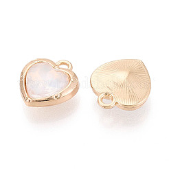 Подвески из сплава и стекла с гальваническим покрытием для стеллажей&nbsp;PALLOY-T024-05A-G