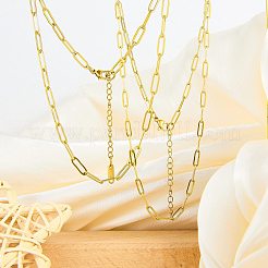 10 collar de cadena con clip de acero inoxidable 201 para mujer&nbsp;NJEW-SZ0001-71