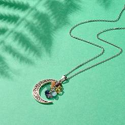 Кластер из натуральных смешанных драгоценных камней с ожерельем с лунным кулоном NJEW-JN03867