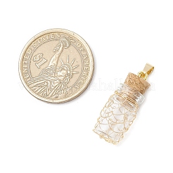 Подвески из стеклянных бутылок&nbsp;PALLOY-JF03913-02