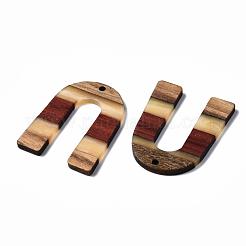 Pendentifs en bois de résine et de noyer&nbsp;X-RESI-R428-07