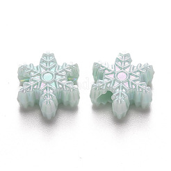 Непрозрачные акриловые бусины SACR-R250-04B