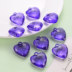 Pendentifs en acrylique transparent &nbsp;TACR-T024-03B-936