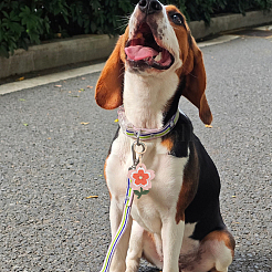 1шт брелок из искусственной кожи pu&nbsp;KEYC-SP0001-44B