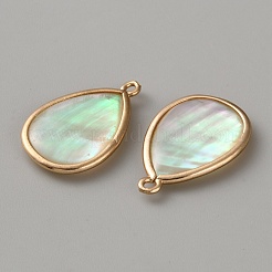 Pendentifs en forme de larme en coquillage paua naturel pavé de laiton&nbsp;DIY-WH0899-32A