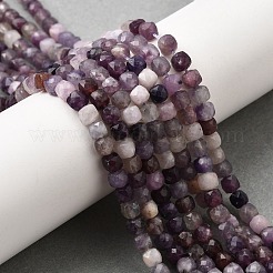 Натуральные лепидолитовые бусины G-RM2025-C36-C