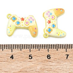 Подвески из сплава краски для выпечки&nbsp;FIND-G109-06