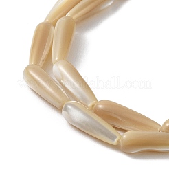 Perle di conchiglia di troco naturale&nbsp;PEAR-B002-01B-B