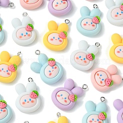 25 pendentif animal en résine opque de 5 couleurs.&nbsp;RESI-CJ0003-76
