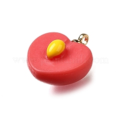 Латунные подвески из акрила OACR-R006-01G-18