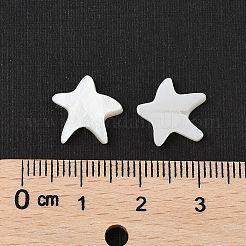 Бусины из натуральных пресноводных ракушек SHER-R100-03A