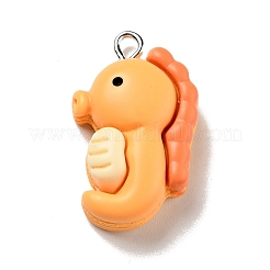 Подвески из непрозрачной смолы&nbsp;LS-RESI-G043-E03