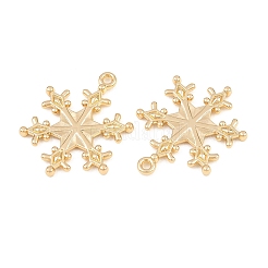 Подвески из сплава &nbsp;FIND-B059-05G-02