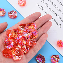 Прозрачные акриловые подвески MACR-S373-73-C01