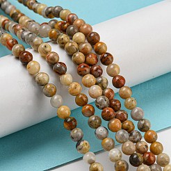 Натуральные сумасшедшие кружевные агатовые круглые бусины&nbsp;G-M272-03-4mm