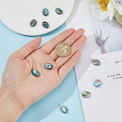 10 шт. бусины из натуральной ракушки пауа&nbsp;SSHEL-FI0001-04