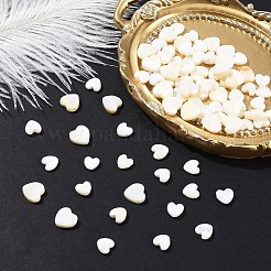 30шт натуральные пресноводные бусины из ракушек&nbsp;SHEL-YW0001-18