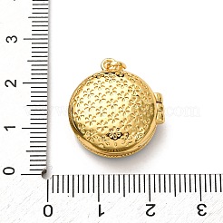 Латунь эмаль Locket подвески KK-K305-06G