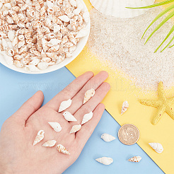 4 нити 2 стилей натуральные спиральные ракушечные бусины нити SHEL-PH0001-45