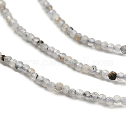 Природные лабрадорита бисер нитей G-RM2025-10-2mm