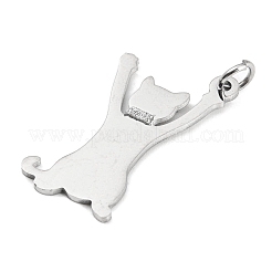 Подвески из нержавеющей стали 304 STAS-E205-03P