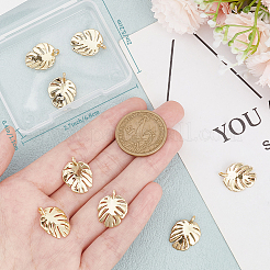 12шт латунные подвески&nbsp;KK-CN0002-40