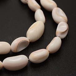 豆天然スパイラルシェル赤いリップシェルビーズ連売り  ビスク  13~18x5~7x7~9mm  穴：1mm  約28個/連  15.3インチ&nbsp;SHEL-E355-20