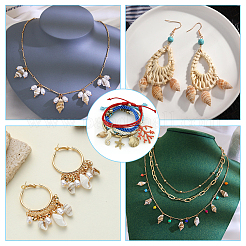 100 шт. Подвески из натуральных ракушек&nbsp;FIND-BBC0003-01