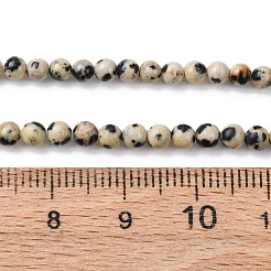 Природные яшмы далматин бисер нитей G-Z116-A10-3mm