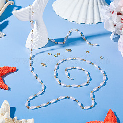 DIY пластиковые жемчужные овальные бисерные латунные звенья браслет-цепочка наборы для изготовления ожерелья&nbsp;DIY-TA0009-62