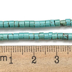 Бусины из натуральной бирюзы  G-C084-D10-02