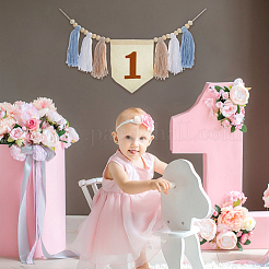 Баннеры с кисточками из плетеного хлопка в стиле богемы&nbsp;AJEW-WH0752-049A