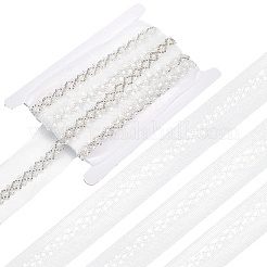 Ruban de dentelle en polyester de 4 mètre&nbsp;SRIB-GF0001-73B-02