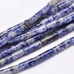 Filamentos de perlas de jaspe de mancha azul natural, 13~14x4~5mm, agujero: 1 mm, aproximamente 29 pcs / cadena, 15.7 pulgada