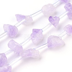 Natural Amethyst Beads Strands, Nuggets, 3~12x4~9mm, Hole: 0.8mm, about 28pcs/strand, 15.7~15.9 inch(40~40.5cm)